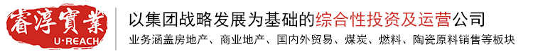 佛山市睿淳实业发展有限公司